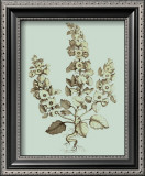 Buy Custom Imperial Munting II at AllPosters.com