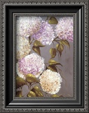 Hortensia Lila