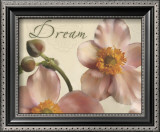 Dream