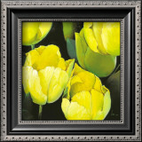Buy Tulipanes Amarillos at AllPosters.com