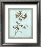Buy Dussurgey Amaryllis on Blue at AllPosters.com
