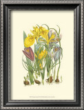 Buy Summer Garden III at AllPosters.com