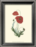 Buy Crimson Beauty IV at AllPosters.com