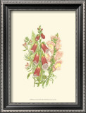 Buy Summer Garden VIII at AllPosters.com