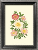 Buy Summer Garden IV at AllPosters.com