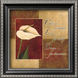 Buy Calla Lily, Cherish Live Dream at AllPosters.com