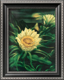 Buy Blooming Cereus with Full Moon at AllPosters.com