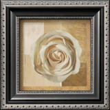 Buy Warm Rose I at AllPosters.com