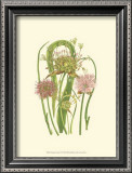 Buy Summer Garden VI at AllPosters.com