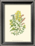 Buy Summer Garden XII at AllPosters.com