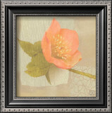 Buy Hellebore I at AllPosters.com