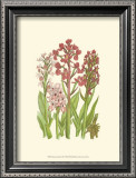 Buy Summer Garden VII at AllPosters.com