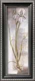 Buy Iris at AllPosters.com