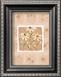 Buy Black-Eyed Susans at AllPosters.com