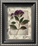 Buy Heliotrope at AllPosters.com