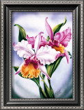 Buy Pink Orchid at AllPosters.com