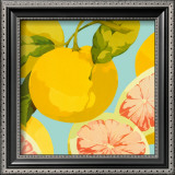Buy Fresh Grapefruits at AllPosters.com