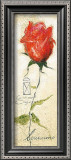 Buy Rose Gabriella at AllPosters.com