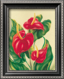 Buy Anthurium II at AllPosters.com