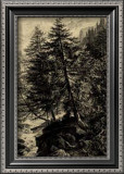 Buy Larch Tree at AllPosters.com
