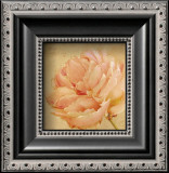 Buy Love Letters IV at AllPosters.com