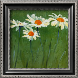 Buy White Daisies at AllPosters.com