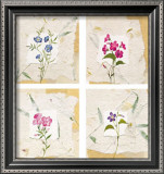 Buy Nature's Gift II at AllPosters.com