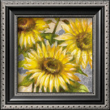 Buy Magnificent Suns at AllPosters.com