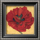 Believe, Poppy Framed Art Print