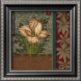Buy Pappagallo I at AllPosters.com