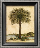 Palm Paradise II