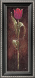 Buy Mystic Tulip Dark Red at AllPosters.com
