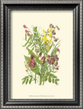 Buy Summer Garden IX at AllPosters.com