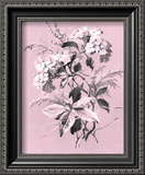 Buy Dussurgey Hydrangea on Pink at AllPosters.com