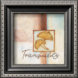 Buy Tranquility at AllPosters.com