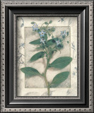 Buy Borage at AllPosters.com