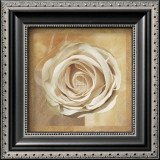 Buy Warm Rose II at AllPosters.com