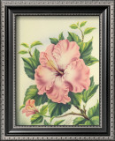 Buy Pink Hibiscus at AllPosters.com