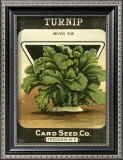 Turnip