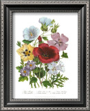 Buy Hibiscus at AllPosters.com