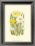 Buy Summer Garden I at AllPosters.com