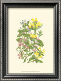 Buy Summer Garden XI at AllPosters.com