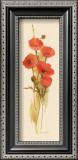 Buy Crimson Poppy at AllPosters.com
