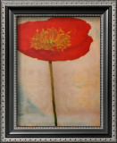 Papavero Framed Art Print