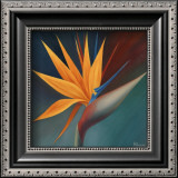 Buy Bird of Paradise I at AllPosters.com