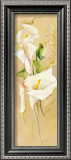 Buy Magnifique at AllPosters.com