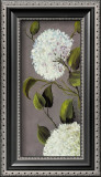 Hortensia Ideal I