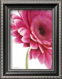 Buy Pretty In Pink at AllPosters.com