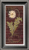 Buy African Daisy II at AllPosters.com