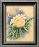 Buy Night Blooming Cereus at AllPosters.com